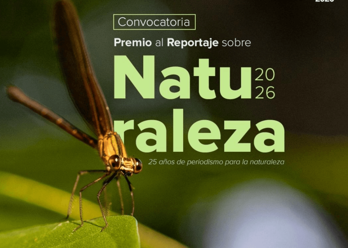 El Premio al Reportaje sobre Naturaleza celebra 25 años impulsando el periodismo ambiental en Bolivia