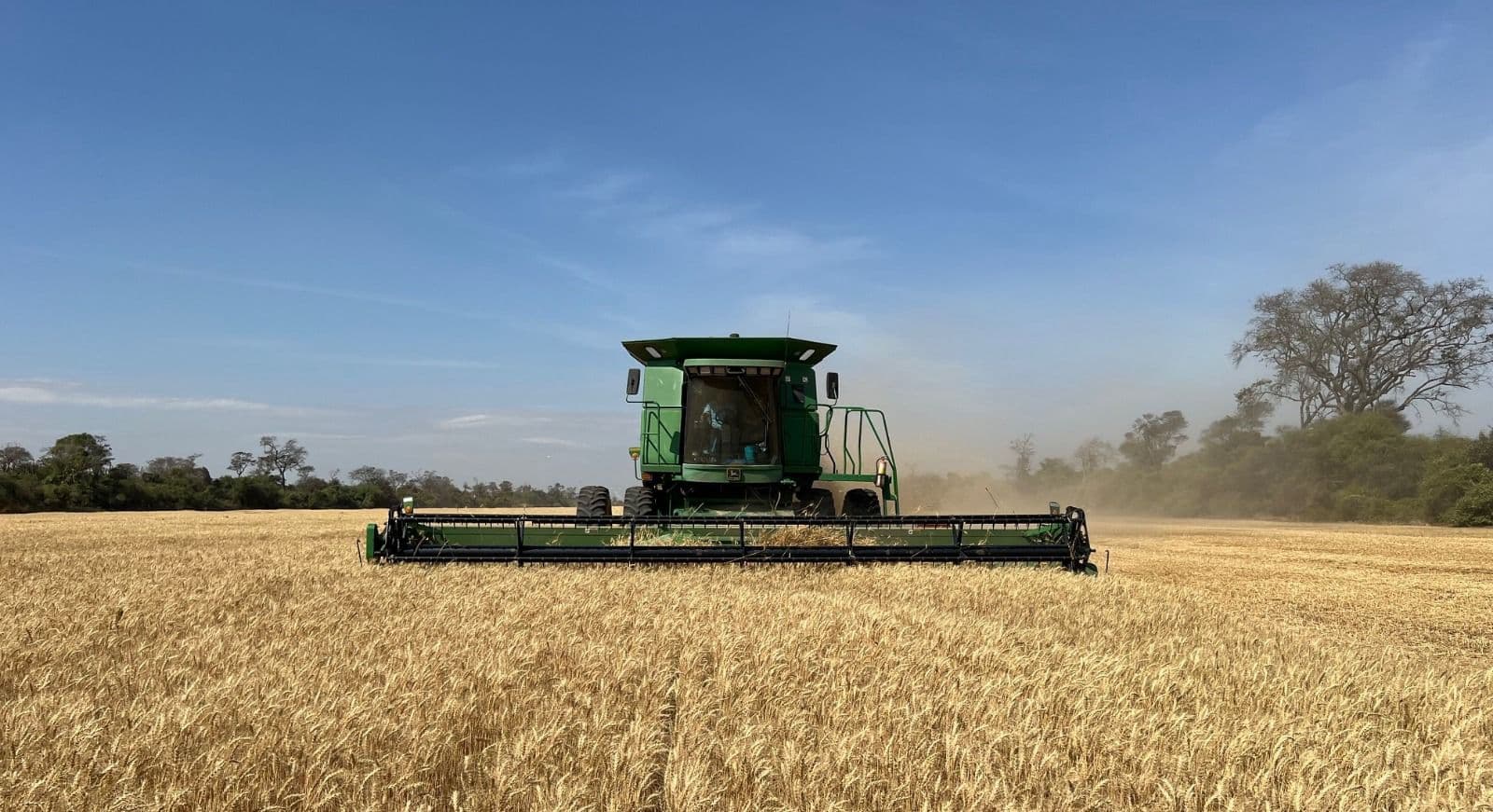 Anapo advierte que la falta de diésel pone en riesgo la seguridad alimentaria del país