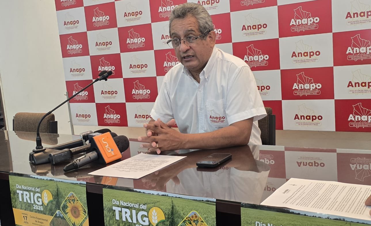 Anapo impulsa el Día Nacional del Trigo para fortalecer una producción nacional que hoy cubre solo el 11% del consumo