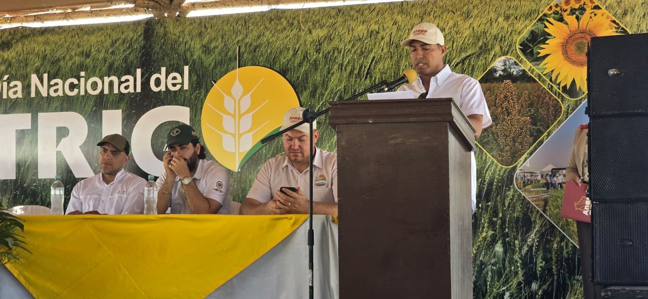 Día Nacional del Trigo plantea agenda para recuperar la producción nacional y fortalecer la seguridad alimentaria