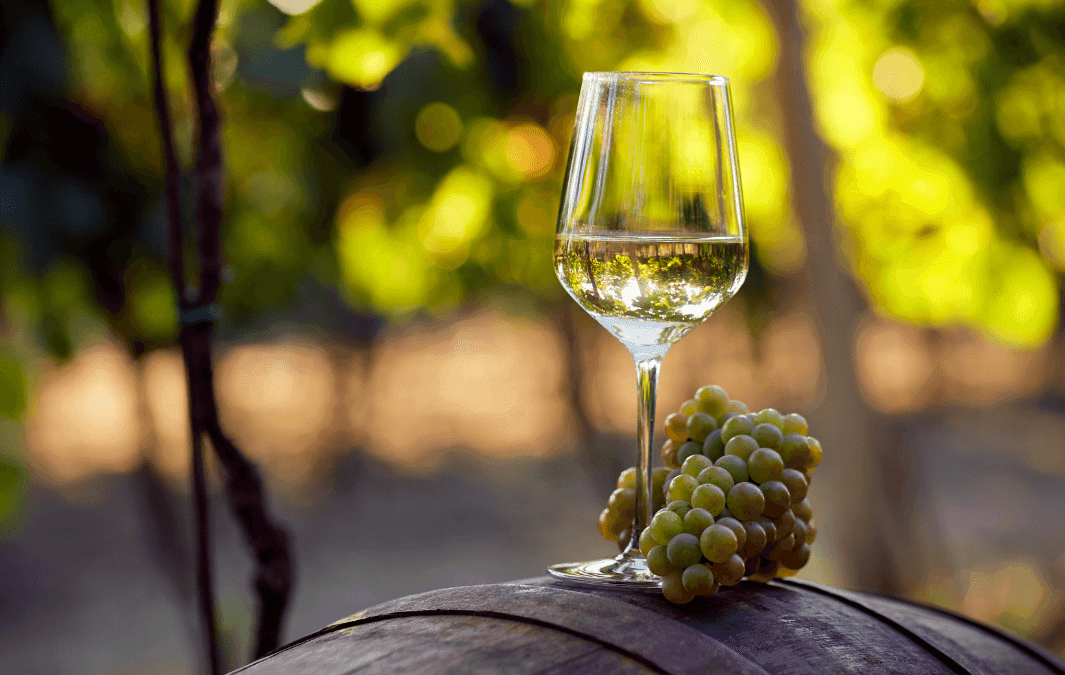 LA LLEGADA DEL VINO Y DEL SINGANI A BOLIVIA