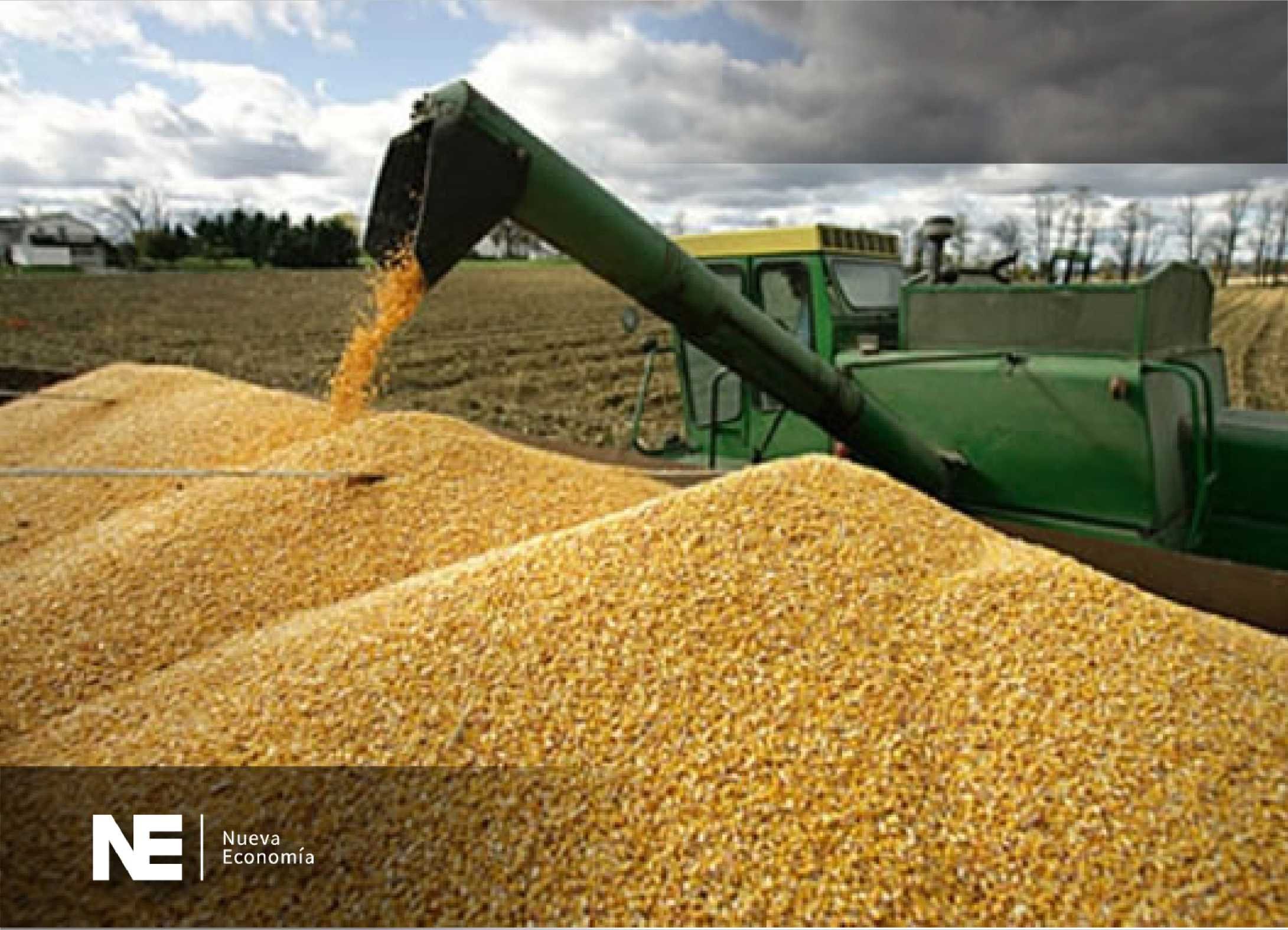 IMPORTACIÓN Y EXPORTACIÓN DE ALIMENTOS