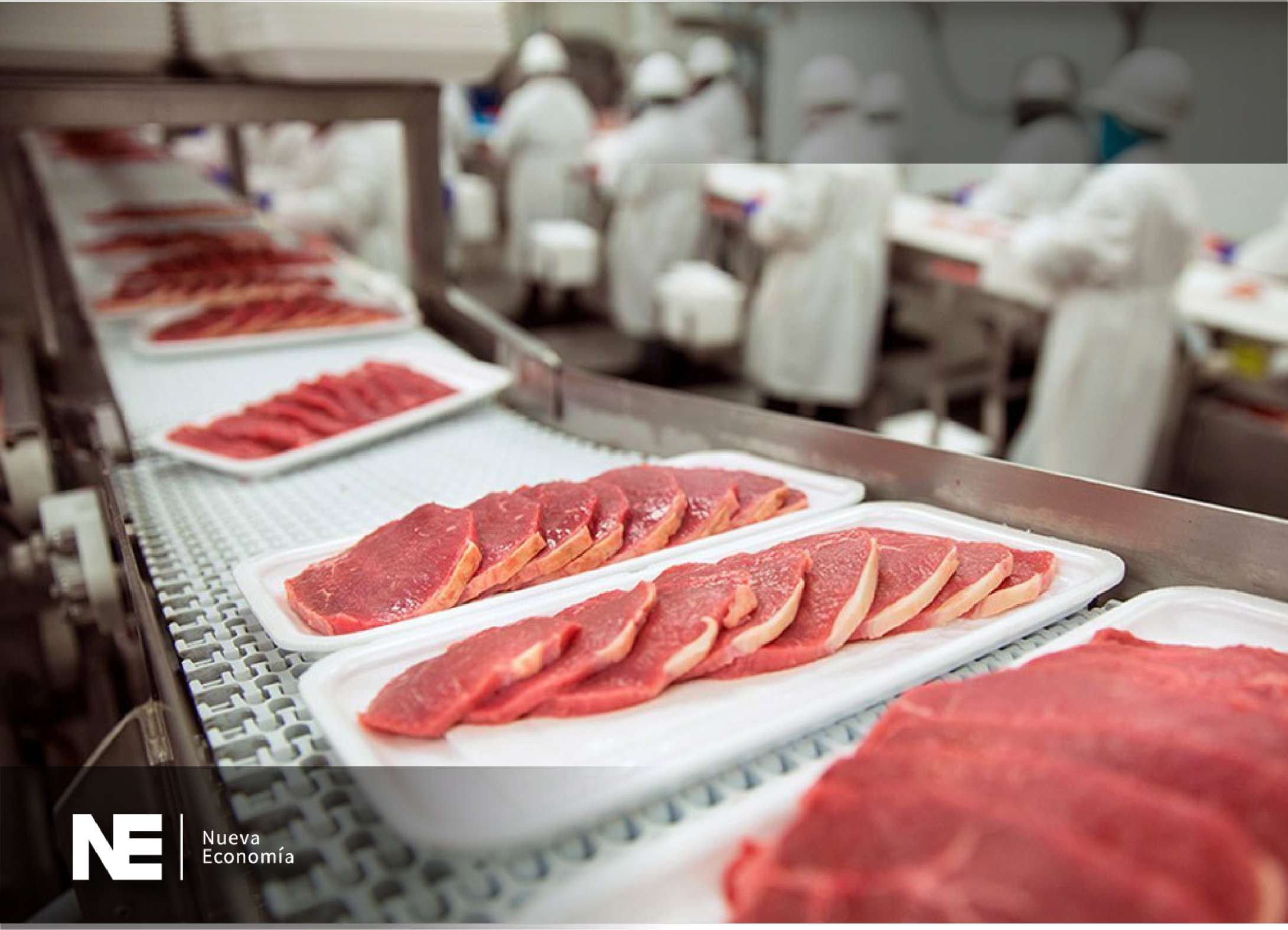 INOCUIDAD ALIMENTARIA Y CERTIFICACIONES