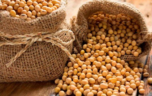 Precios de materias primas se recuperan