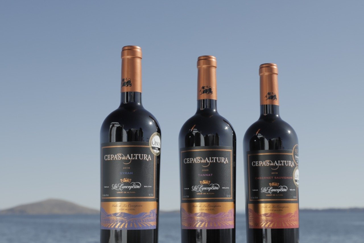 Un homenaje a la vid de nuestra tierra