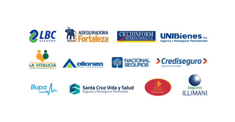La presencia de las principales compañías aseguradoras dentro del sector