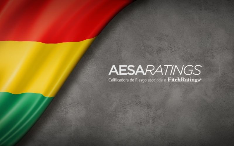 AESA Ratings, Radiografía de los bancos en Bolivia