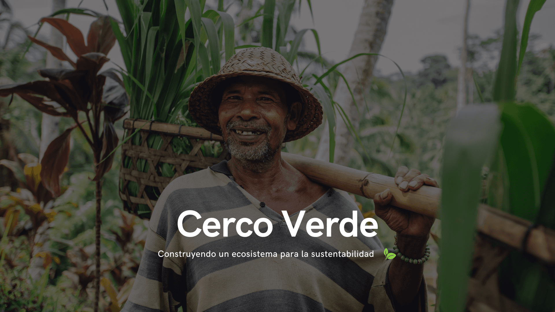Cerco Verde