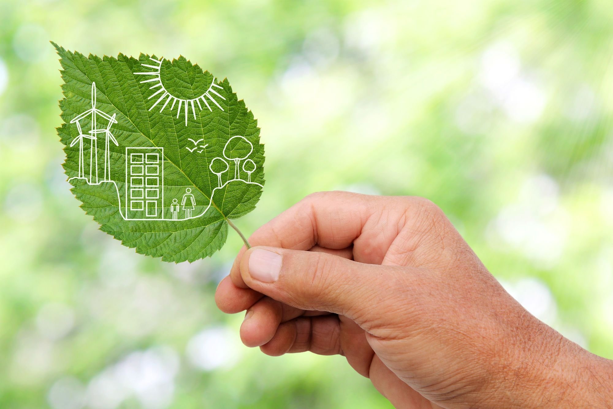 SUSTENTABILIDAD EN LA CULTURA EMPRESARIAL