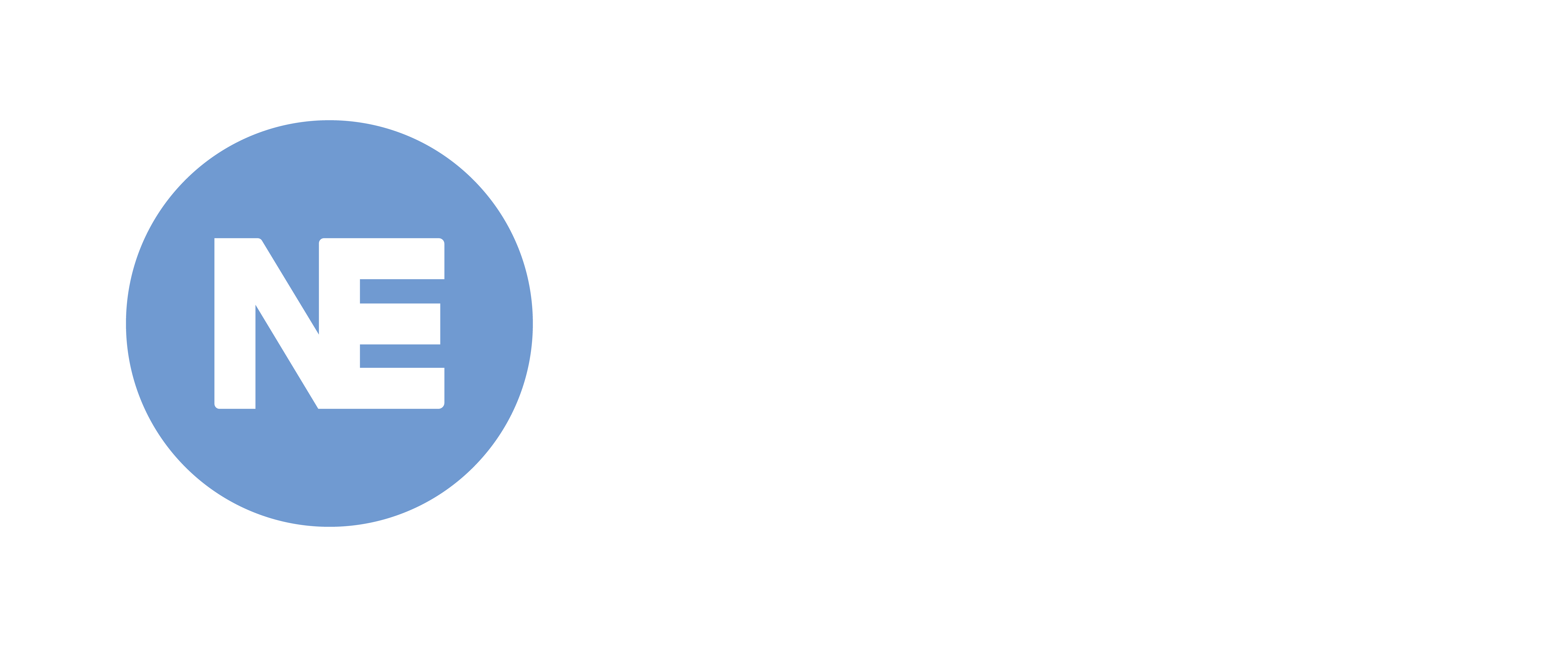 Nueva Economia
